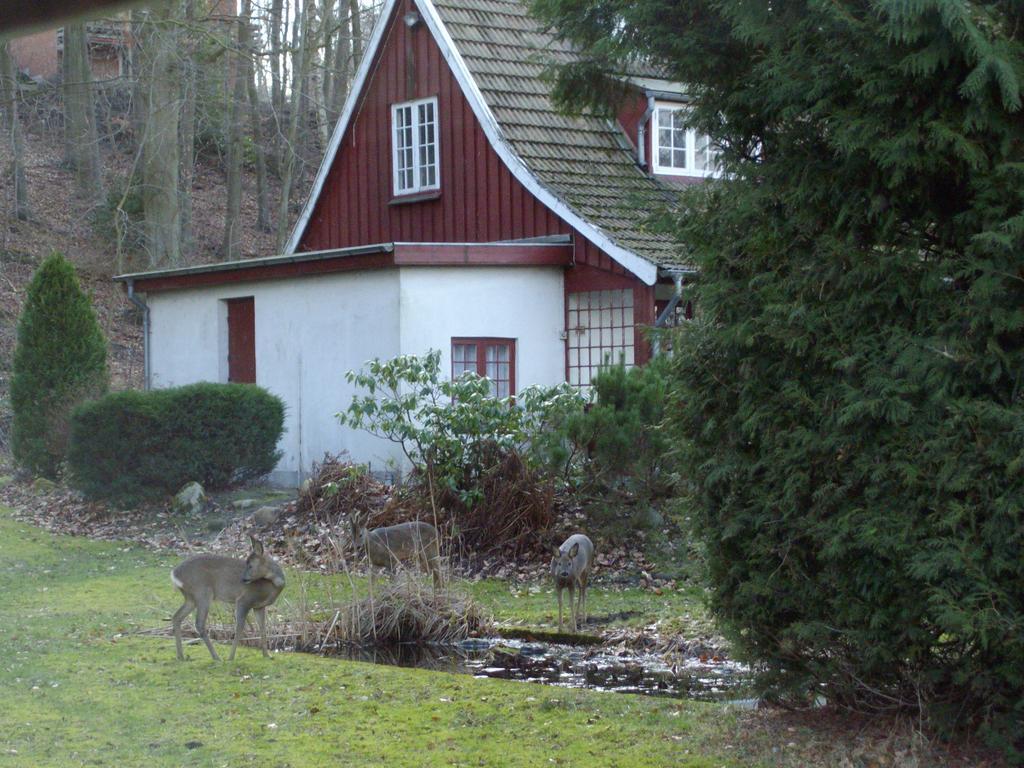 Skovvej Holiday House 1 Randers Exterior photo